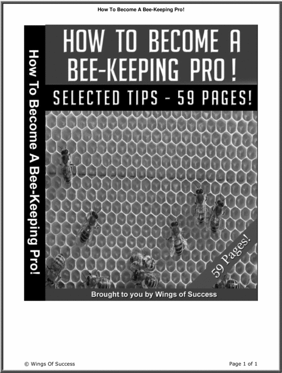 Product picture Make money with Bees